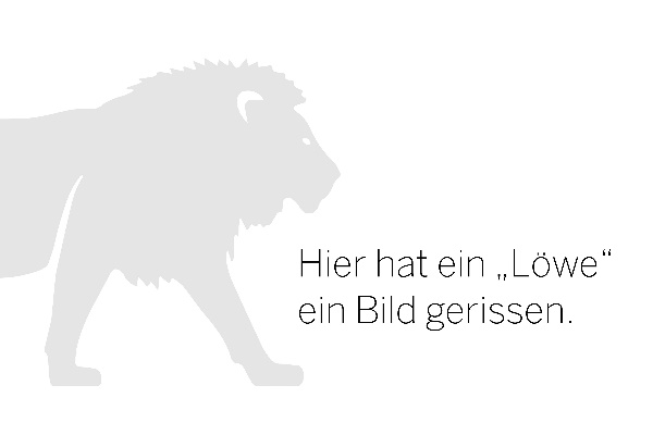 image-broken-06allgemein